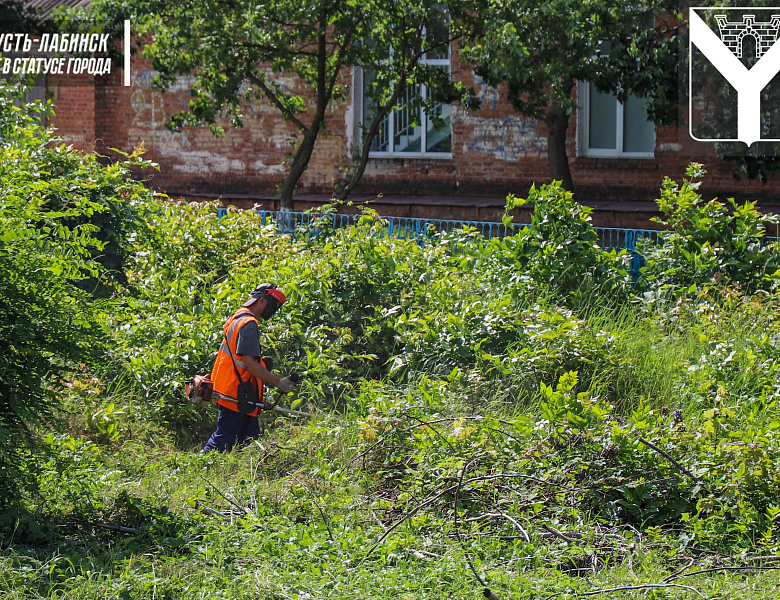 Сотрудники "РЖД" приступили к покосу сорной растительности